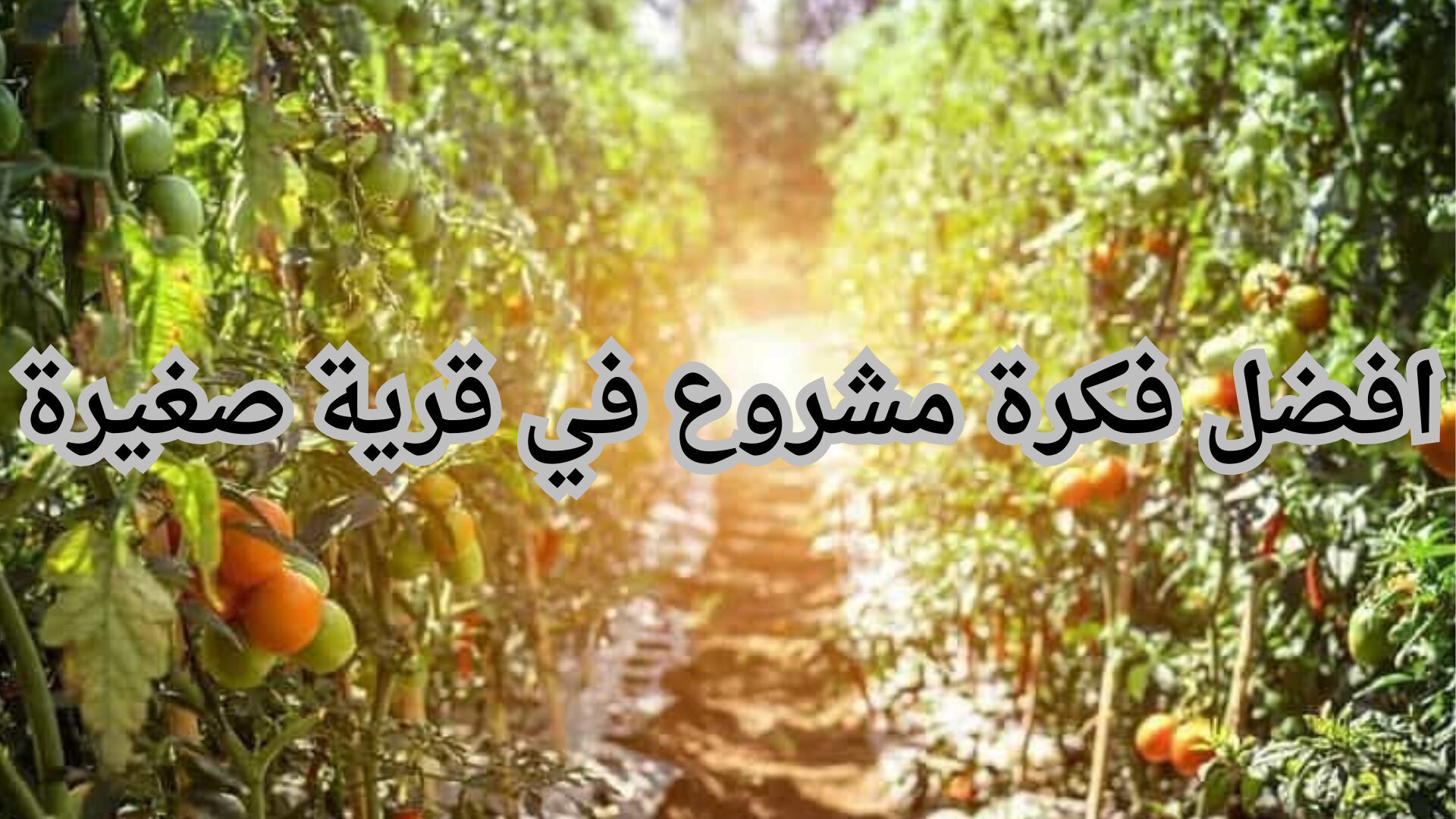 مشاريع مربحة في القرى: أكثر من 60 مشروع مربح 2 افضل فكرة مشروع في قرية صغيرة