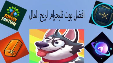 أفضل 5 بوت تليجرام لربح المال