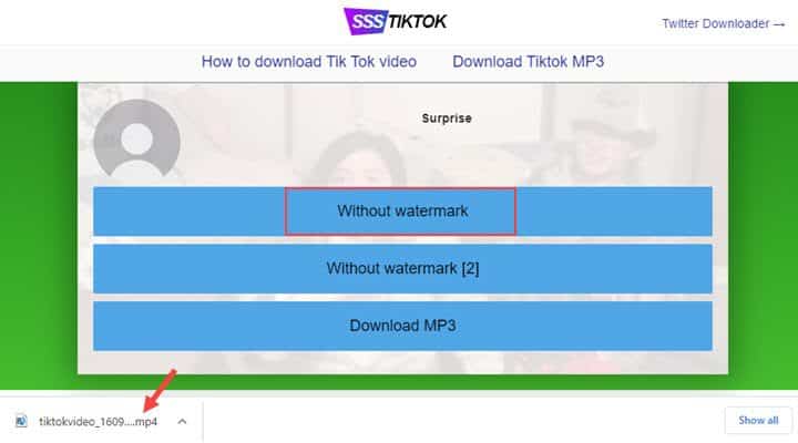 tiktok downloader no watermark 1