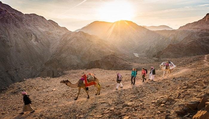 أفكار مشاريع غريبة - تنظيم رحلات مغامرات وسفاري